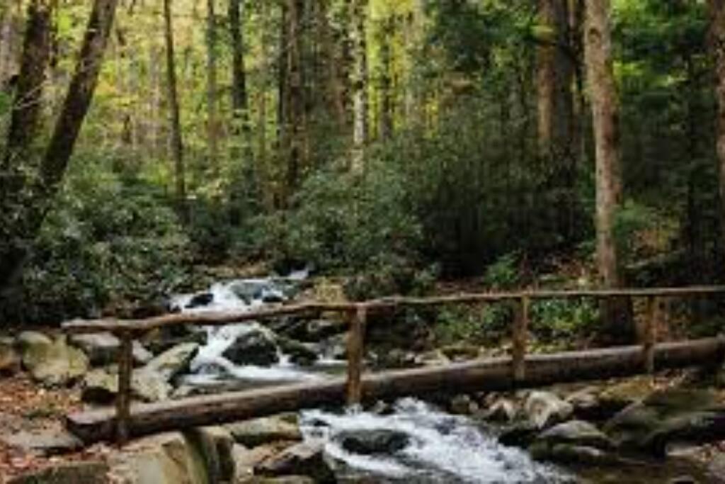 Villa Honeymoon Getaway In Woods Near Noc And Smoky Mtn Rr Bryson City Exterior foto